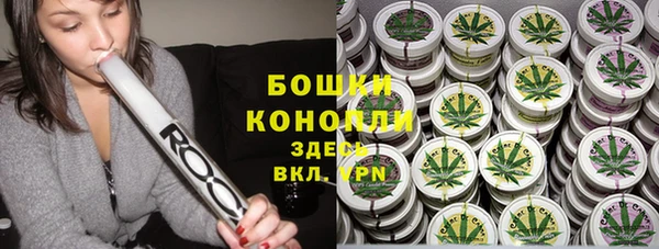 PSILOCYBIN Алексеевка