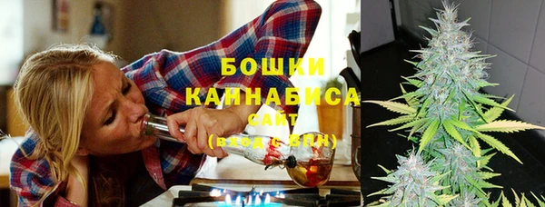 PSILOCYBIN Алексеевка